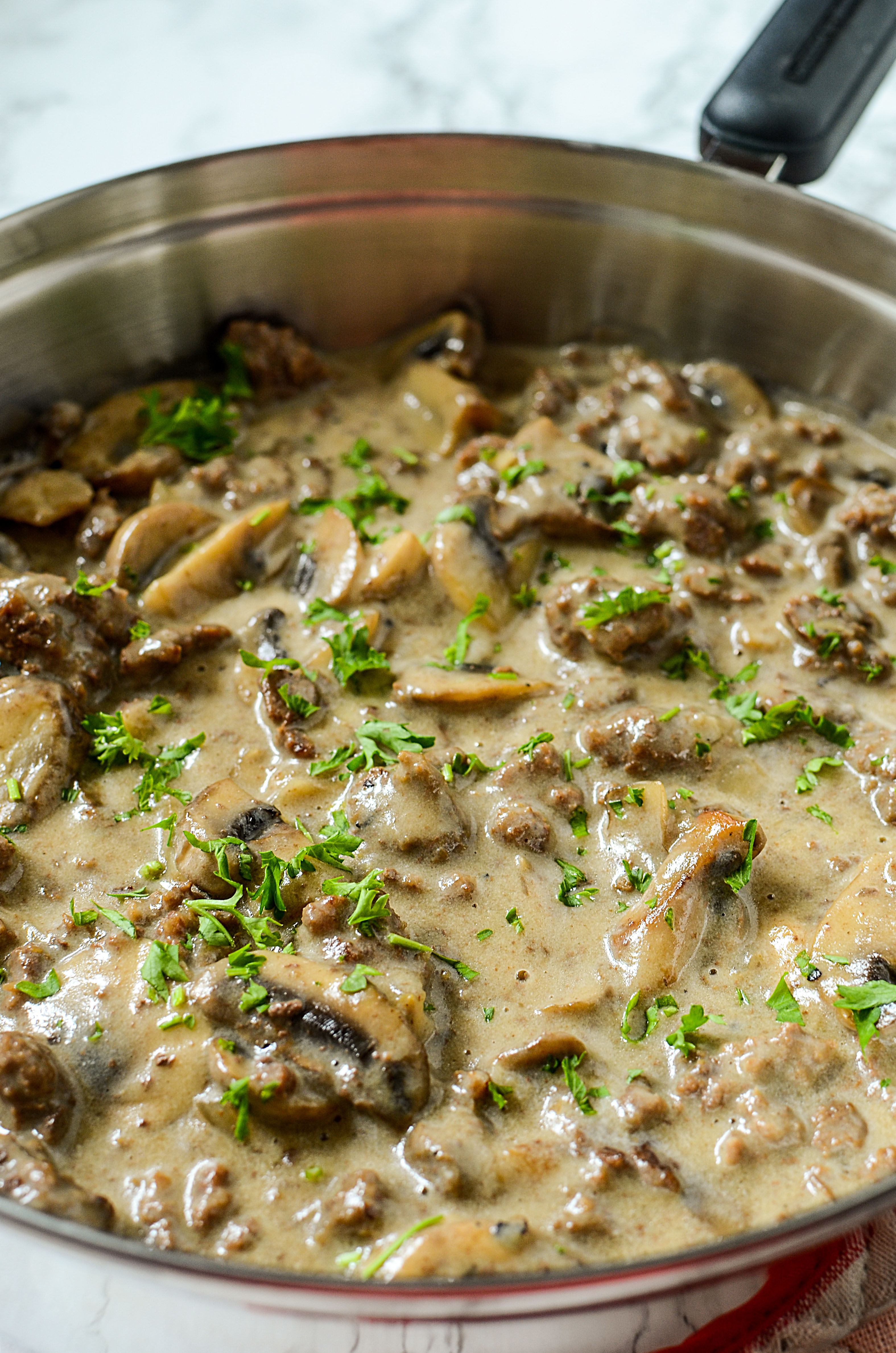 Recipes Using Ground Beef
 Ground Beef Stroganoff