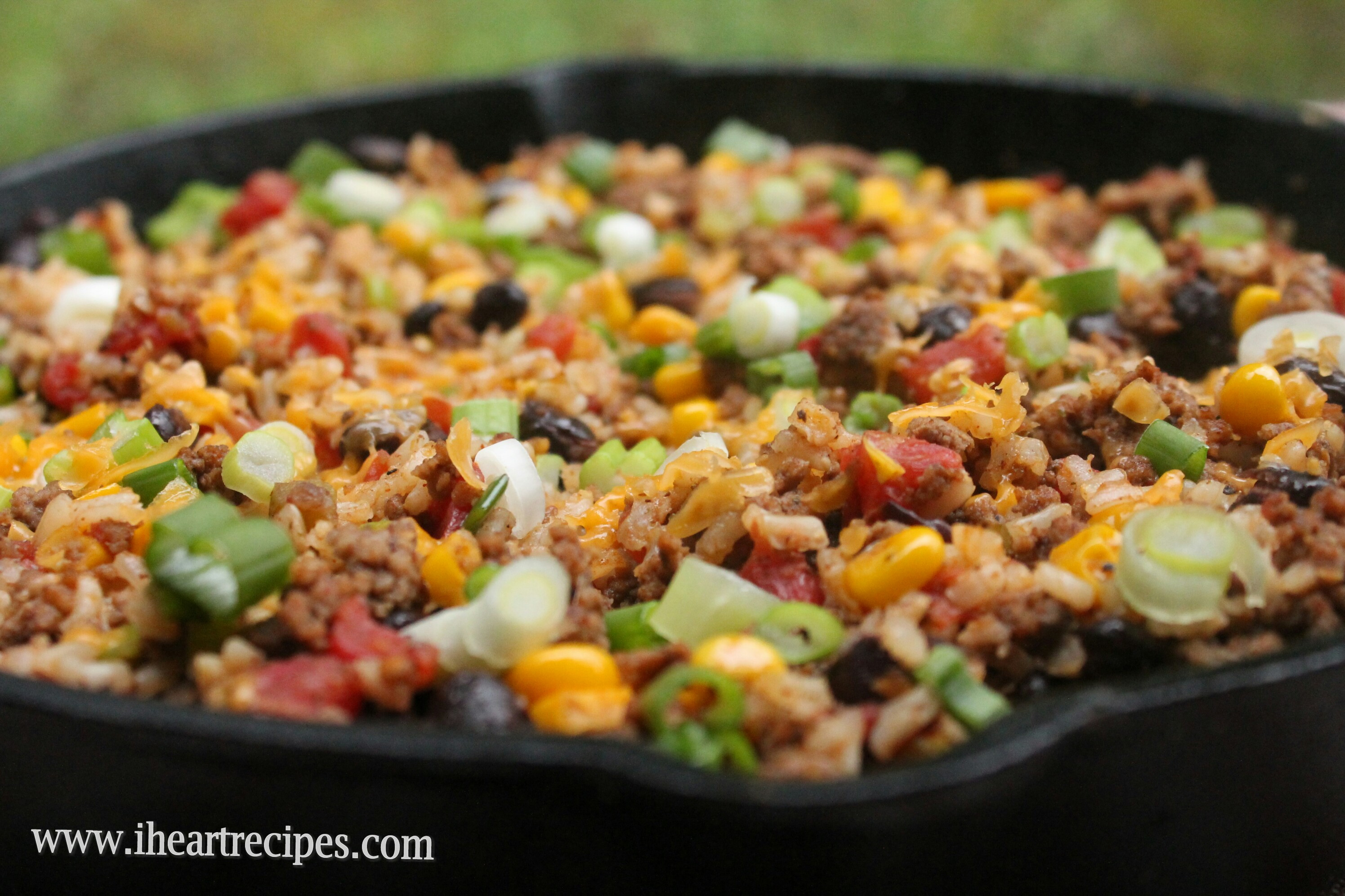 Recipes Using Ground Beef
 Tex Mex Beef Skillet