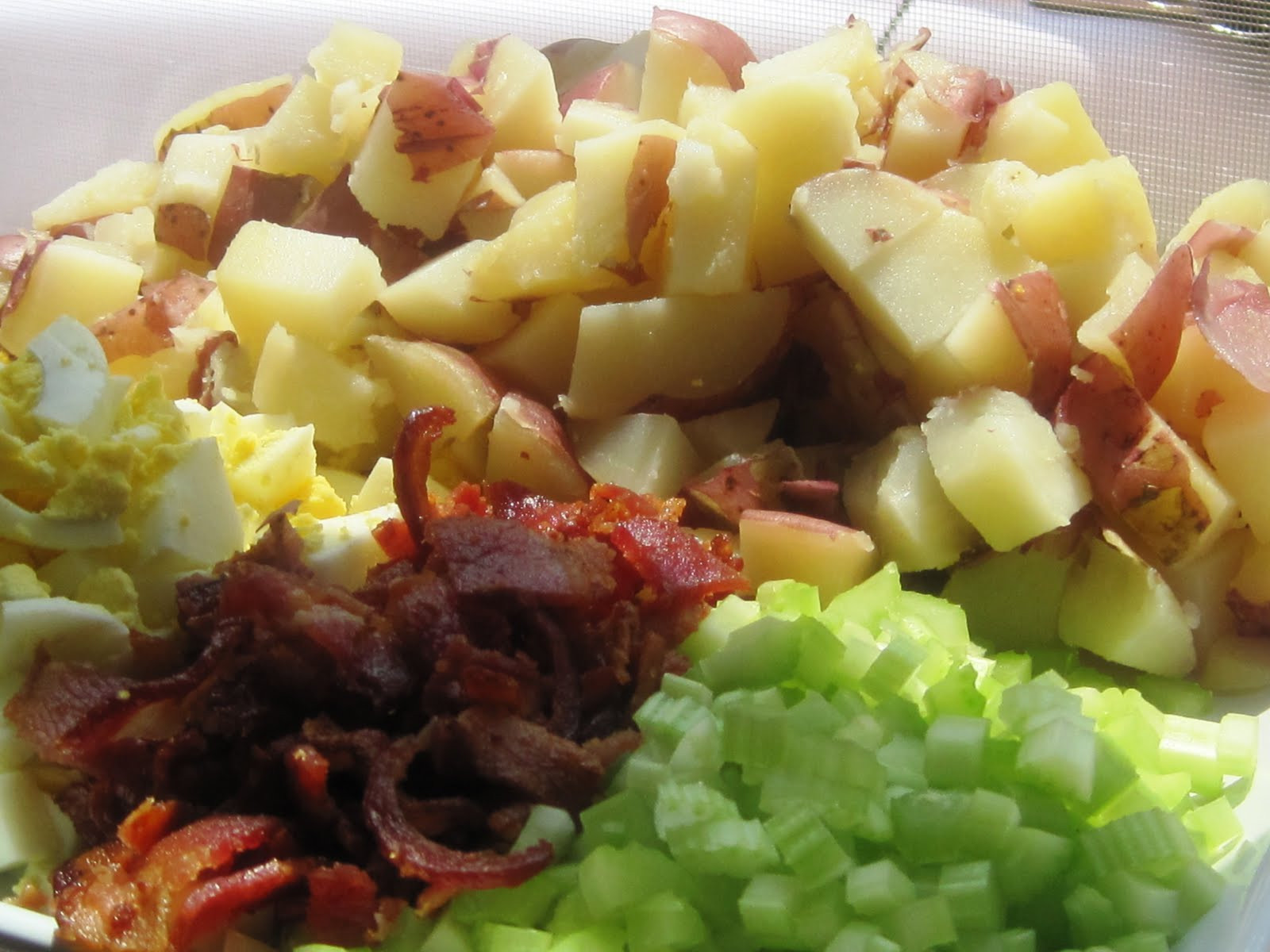 Red Bliss Potato Salad
 Taste the Rainbow Baby Red Bliss Potato Salad with Bacon