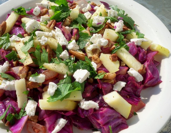 Red Cabbage Salad Recipes
 Warm Red Cabbage Salad Recipe Food