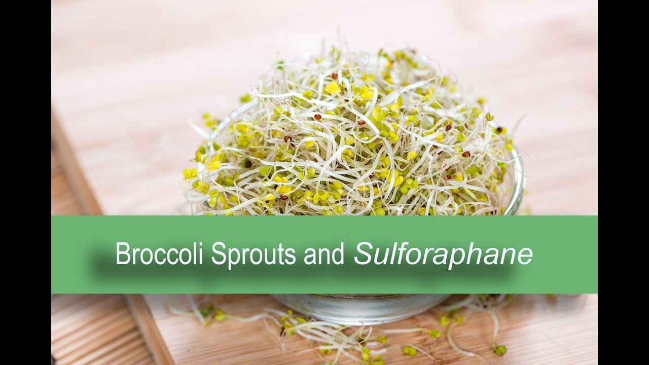Rhonda Patrick Broccoli Sprouts
 Broccoli Sprouts sulforaphane