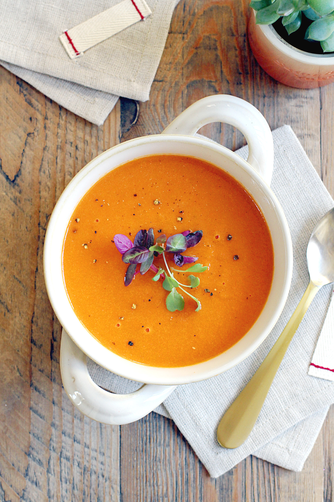 Roasted Carrot Soup
 Roasted Carrot Soup Two of a Kind