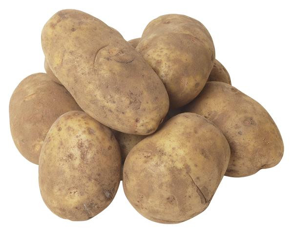 Russet Mashed Potatoes
 Mashed Potatoes LindySez