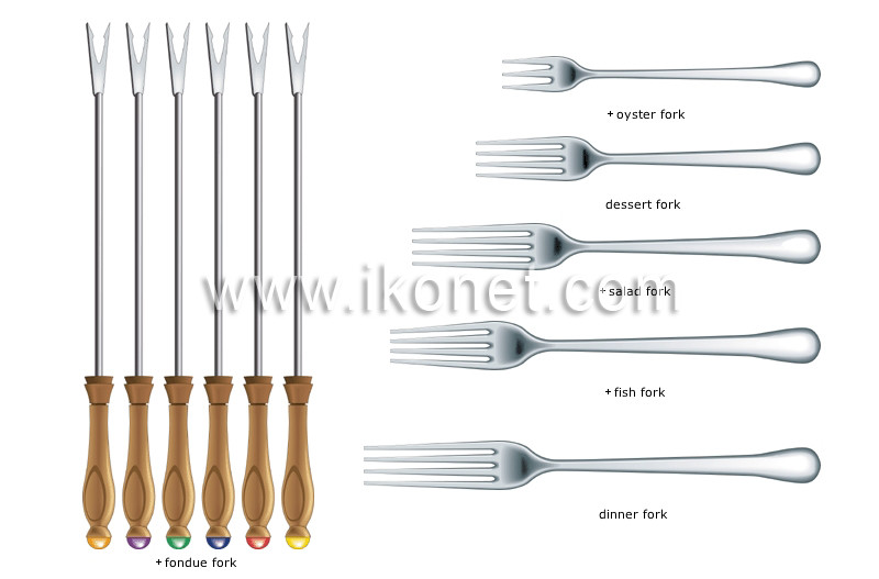 Salad Fork Vs Dinner Fork
 food and kitchen kitchen silverware examples of