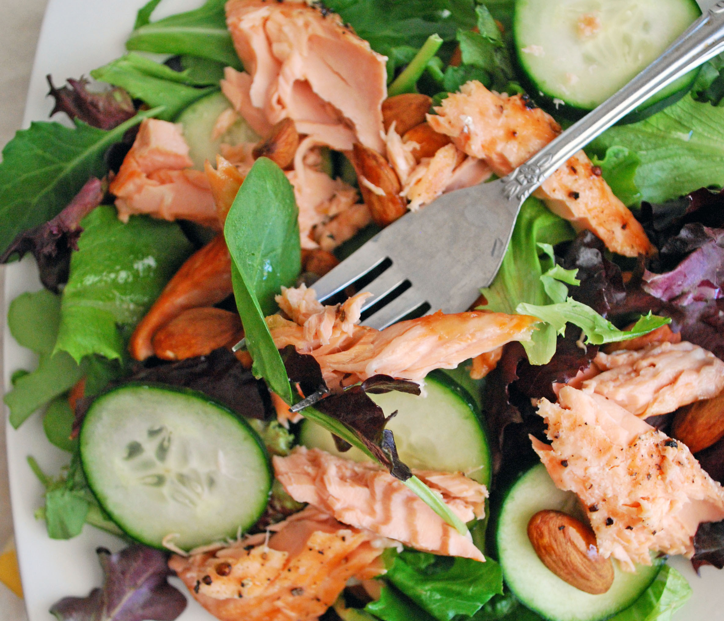 Salad With Salmon
 Lazy Lady Salmon Salad The Live In Kitchen