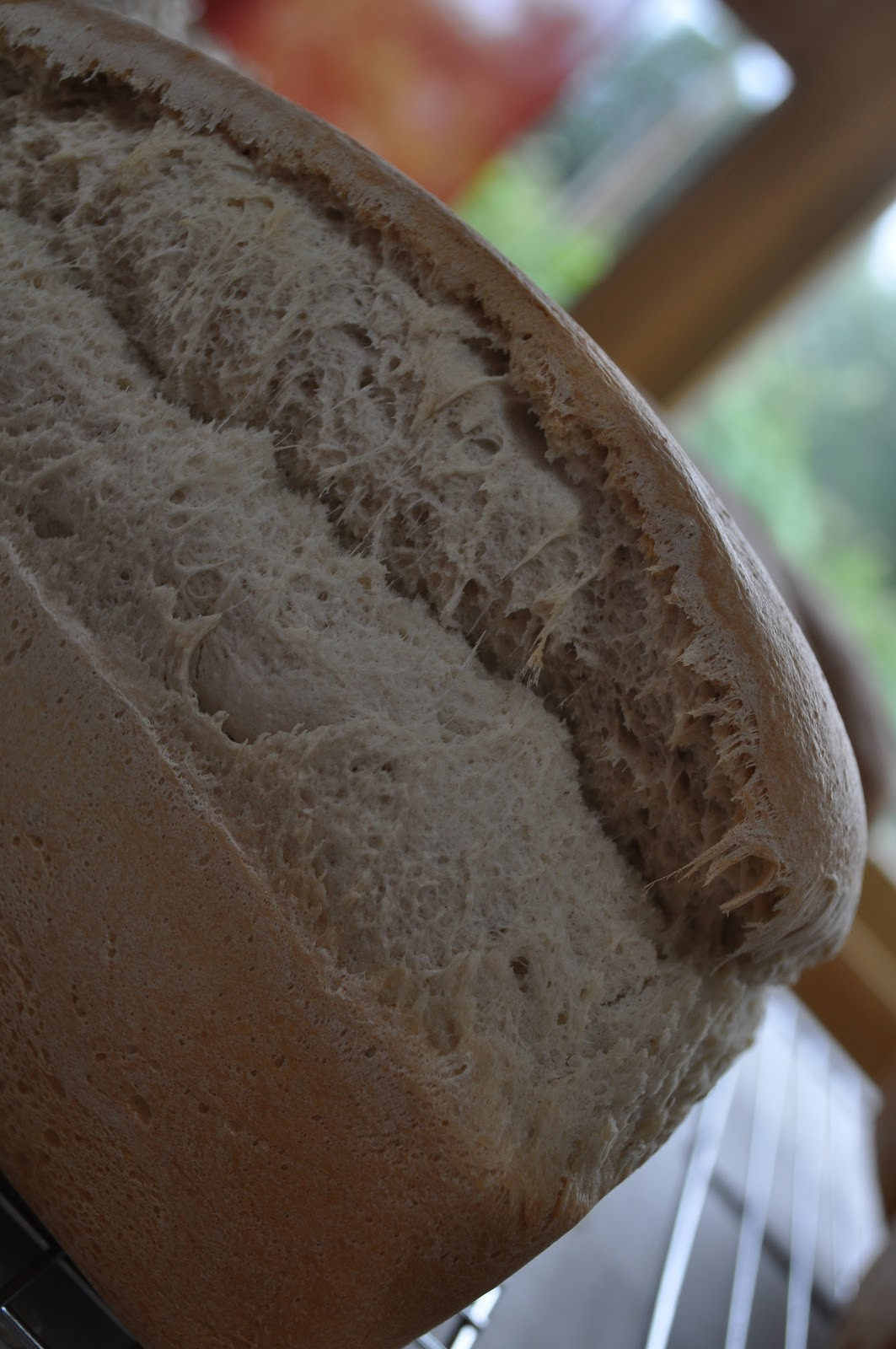 Salt Rising Bread Recipe
 Bodhi Baker What is Salt Rising Bread