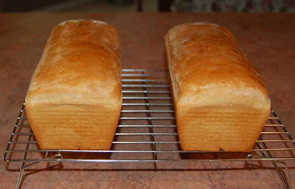 Salt Rising Bread Recipe
 Salt Rising Bread — Patchwork Times by Judy Laquidara