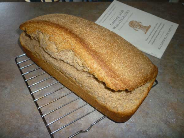 Salt Rising Bread Recipe
 exorphin junkie Orton s Whole Wheat Salt rising Bread