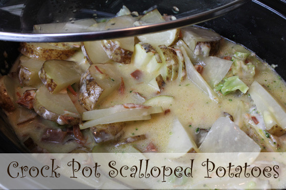 Scalloped Potatoes And Ham Crock Pot
 Freezer Meal Recipe Ham and Scalloped Potatoes