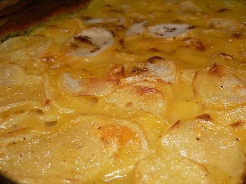 Scalloped Potatoes Paula Deen
 25 best ideas about Blue Potatoes on Pinterest