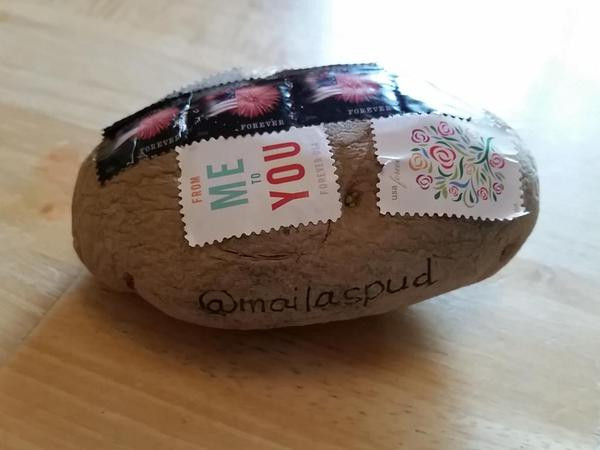 Send A Potato
 Send an Unwrapped Potato Through the Mail Pee wee s blog