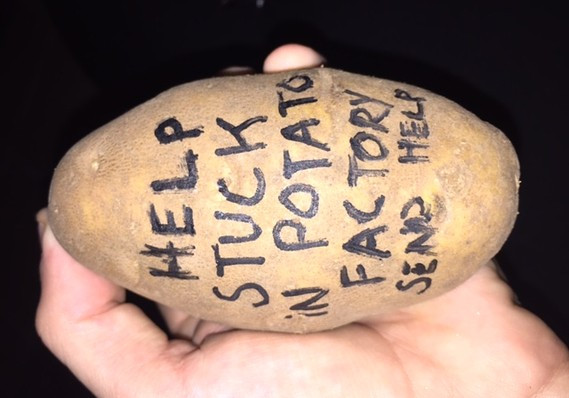 Send A Potato
 People are spending $14 to send message bearing potatoes