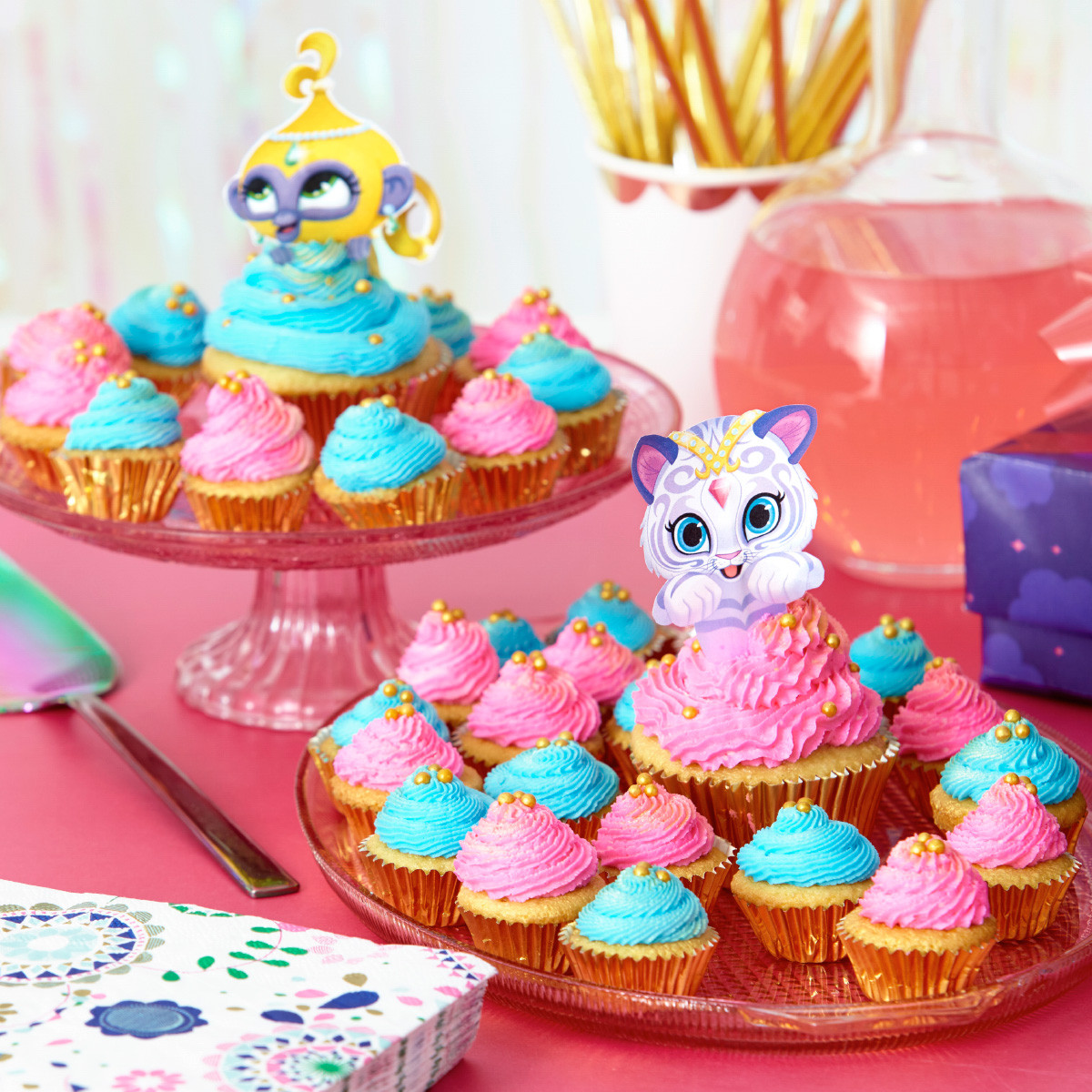 Shimmer And Shine Birthday Cake
 Plan a Shimmer and Shine Birthday Party