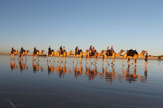 Ships Of The Dessert
 布魯姆 澳洲 Ships of the Desert 旅遊景點評論 TripAdvisor