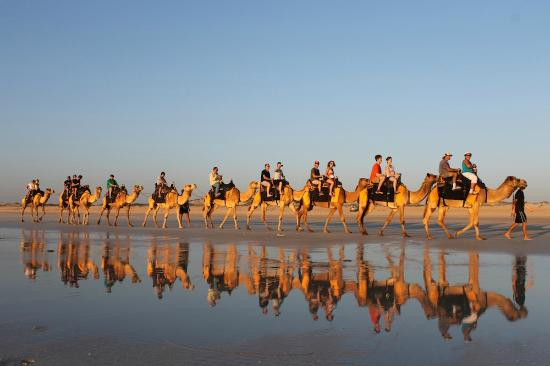 Ships Of The Dessert
 Ships of the Desert Camel Train Picture of Ships of the