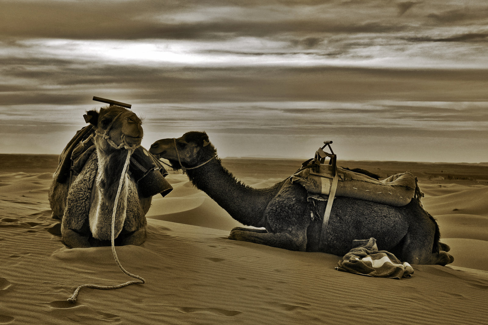 Ships Of The Dessert
 Ships The Desert by CitizenFresh on DeviantArt