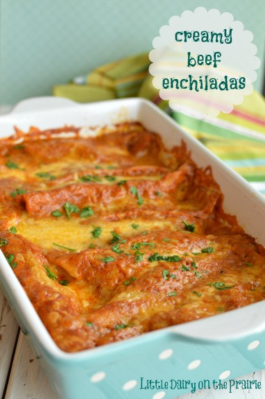 Shredded Beef Enchiladas
 Creamy Shredded Beef Enchiladas Little Dairy the Prairie