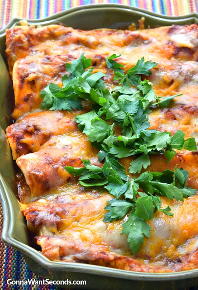 Shredded Beef Enchiladas
 Beef Enchiladas Gonna Want Seconds