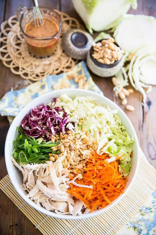 Shredded Chicken Salad
 Asian Shredded Chicken Salad • The Healthy Foo