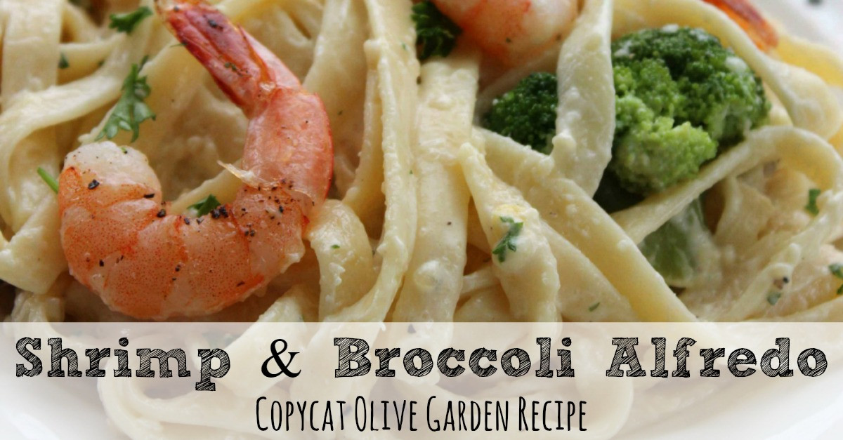 Shrimp And Broccoli Alfredo
 Copycat Olive Garden Alfredo Sauce Recipe
