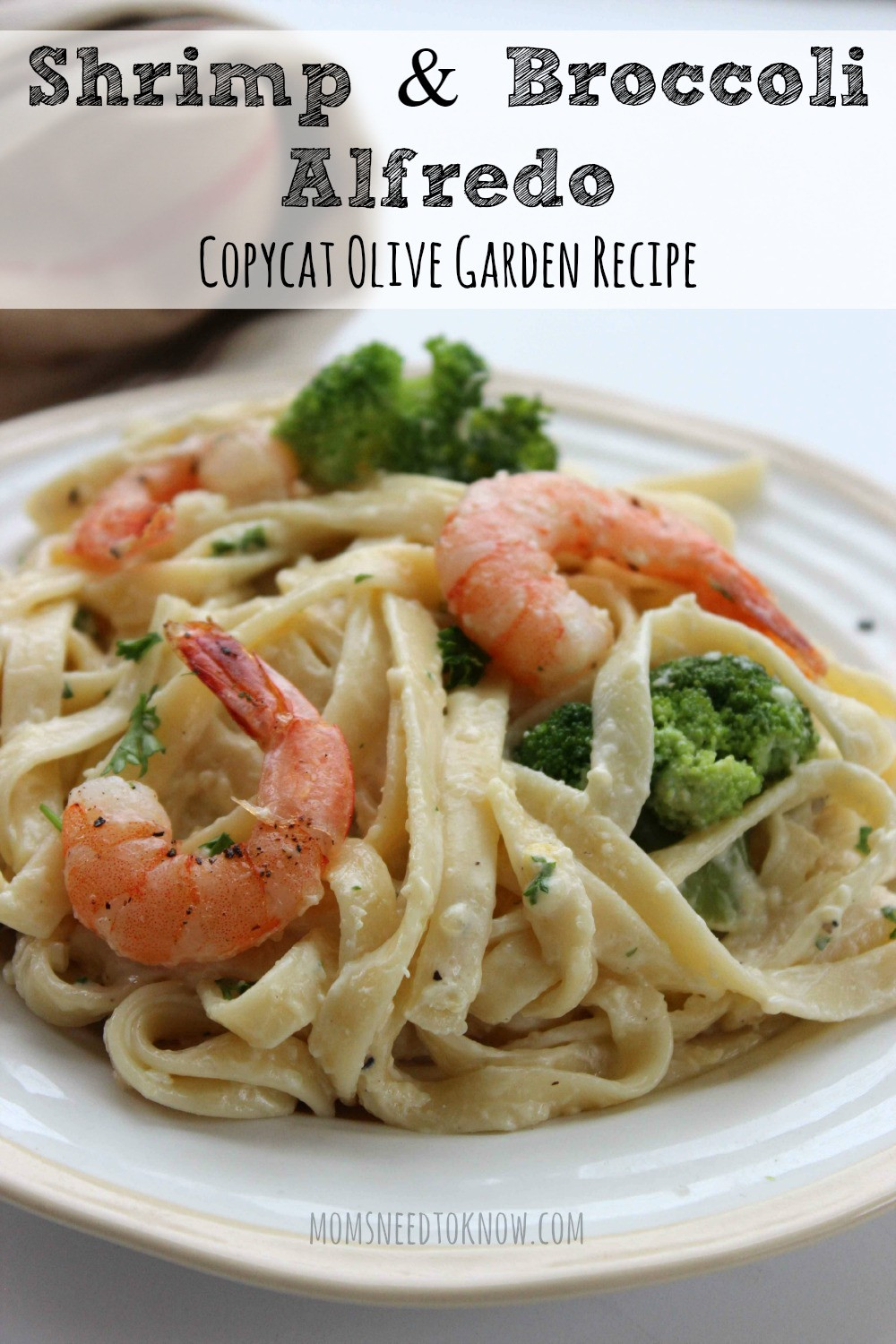 Shrimp And Broccoli Alfredo
 Copycat Olive Garden Alfredo Sauce Recipe