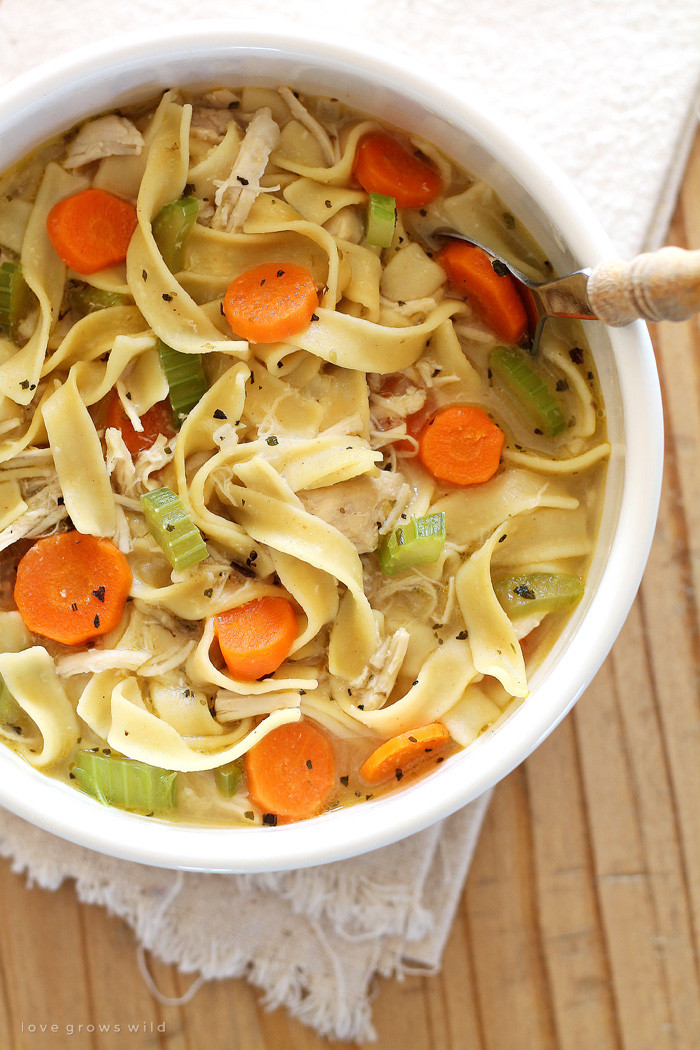 Simple Chicken Noodle Soup
 Quick and Easy Chicken Noodle Soup Love Grows Wild