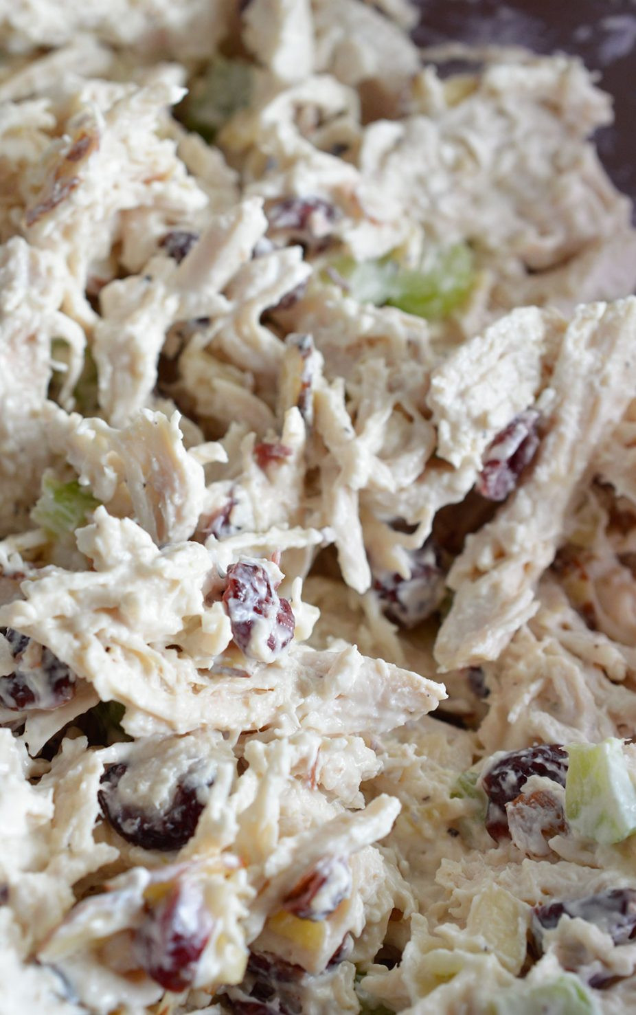 Simple Chicken Salad Recipe
 Cranberry Almond Chicken Salad Recipe WonkyWonderful