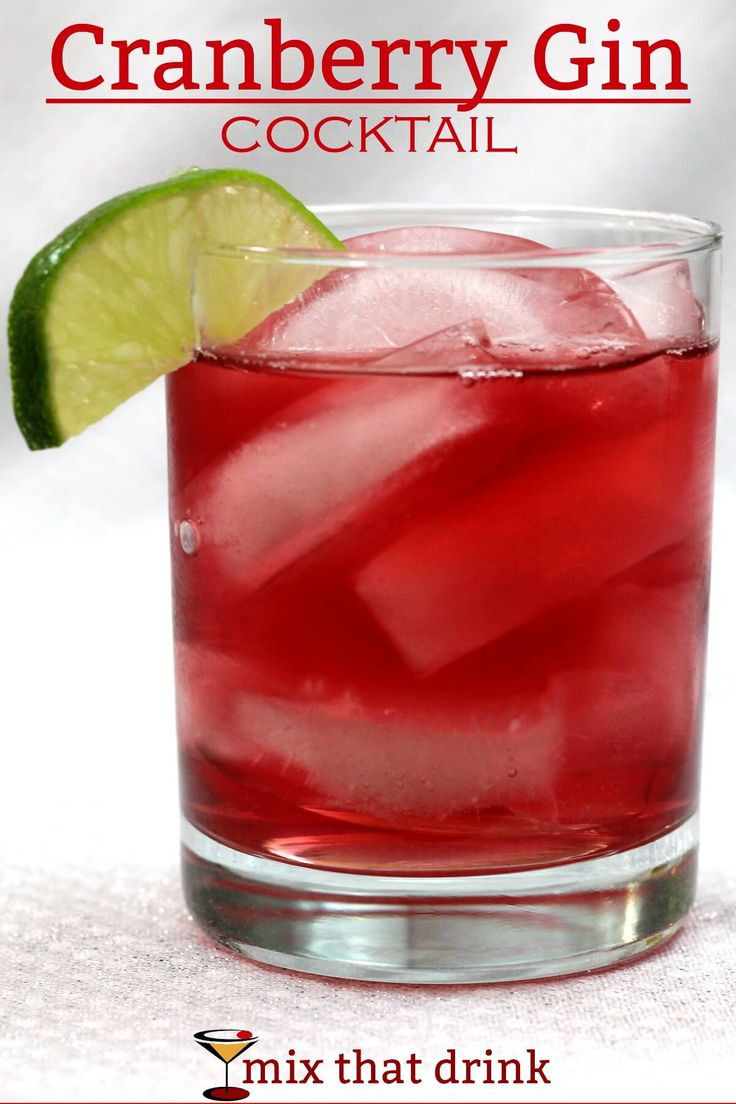Simple Gin Drinks
 The 25 best Simple gin drinks ideas on Pinterest