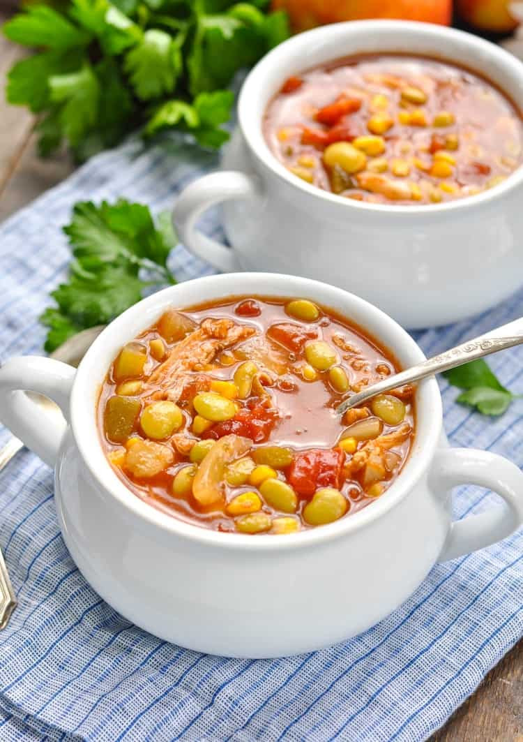 Slow Cooker Brunswick Stew
 Slow Cooker Brunswick Stew The Seasoned Mom