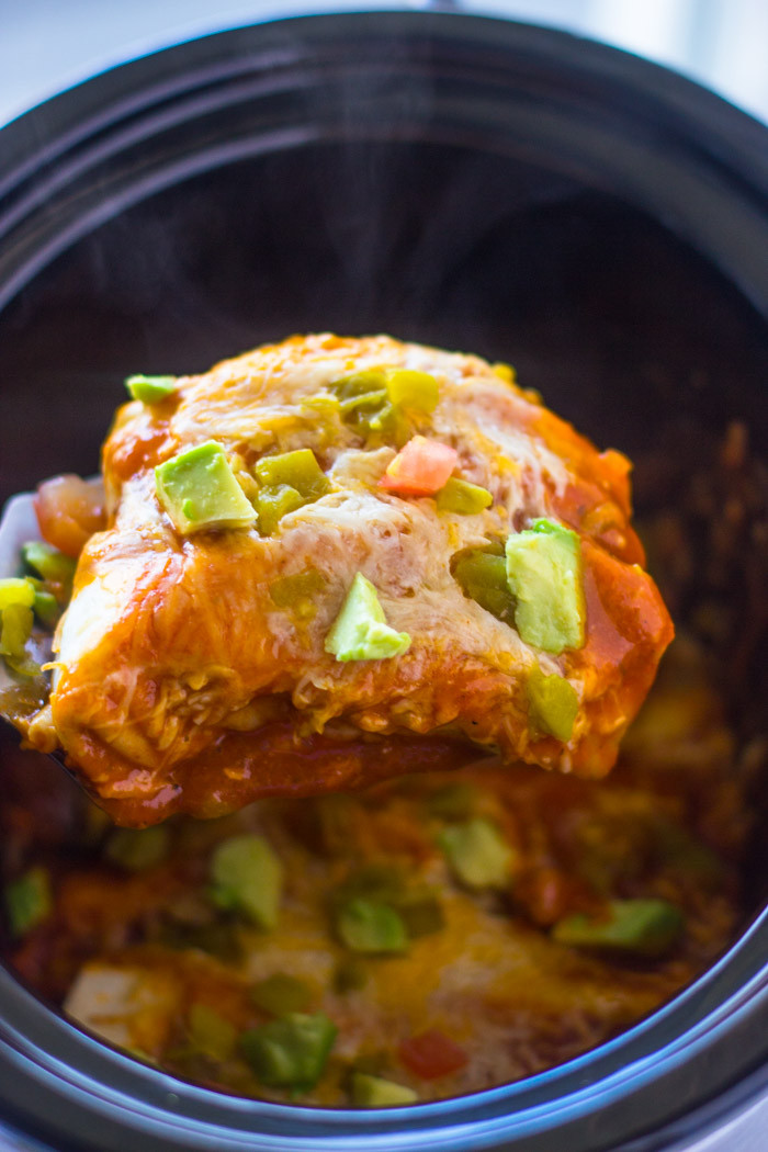 Slow Cooker Chicken Enchiladas
 Slow Cooker Chicken Enchiladas