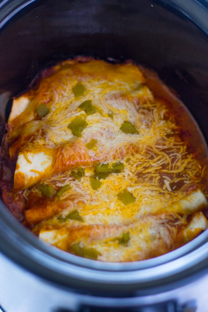 Slow Cooker Chicken Enchiladas
 Slow Cooker Chicken Enchiladas