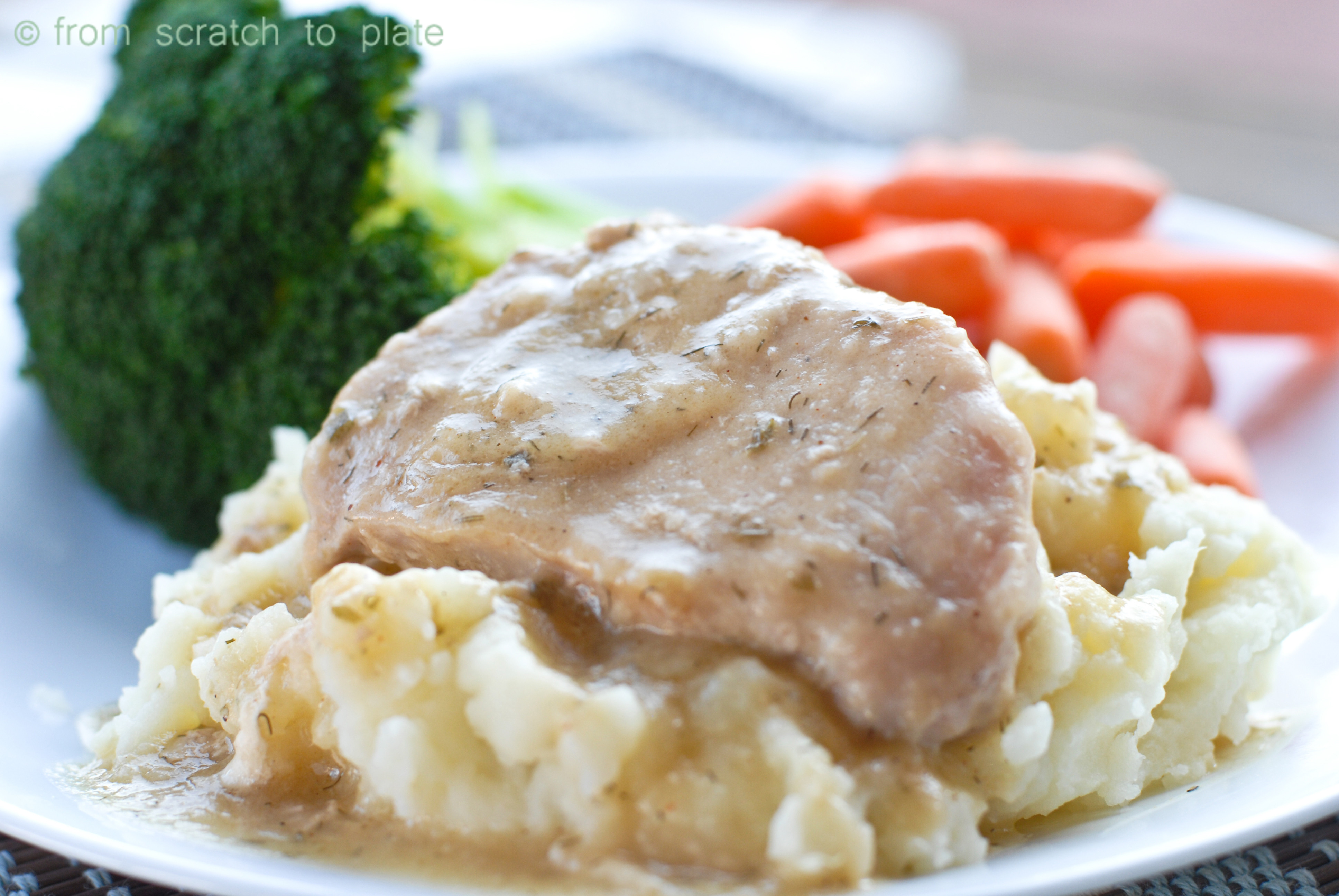 Slow Cooker Ranch Pork Chops
 Slow Cooker Ranch Pork Chops