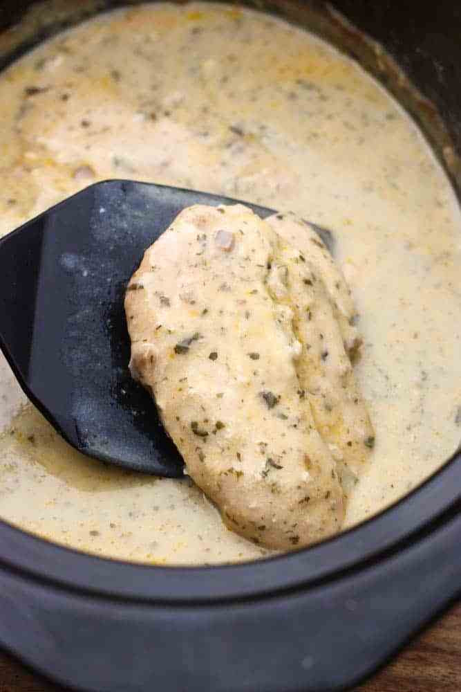 Slow Cooker Ranch Pork Chops
 Slow Cooker Creamy Ranch Pork Chops