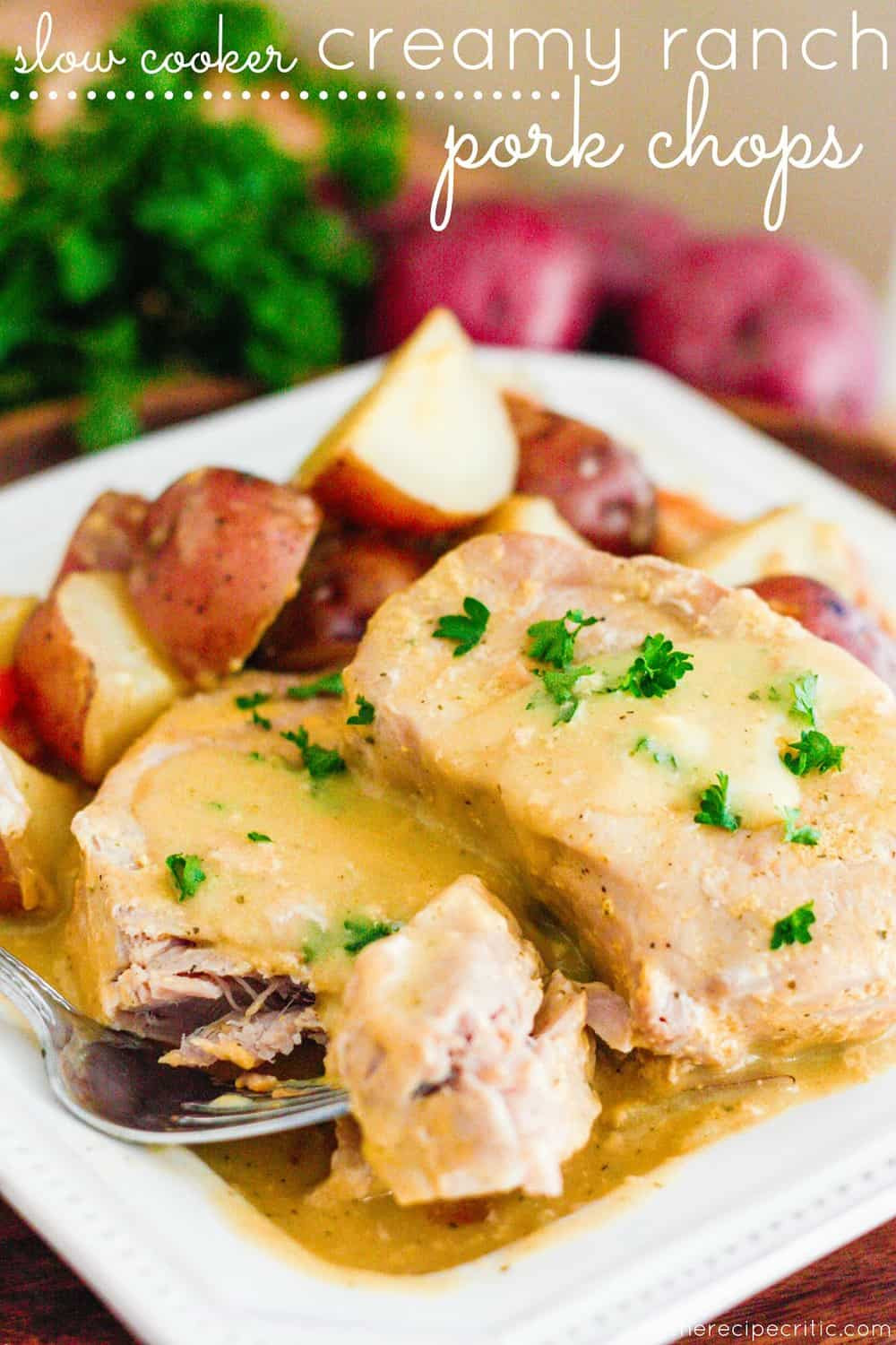 Slow Cooker Recipes Pork Chops
 Slow Cooker Creamy Ranch Pork Chops