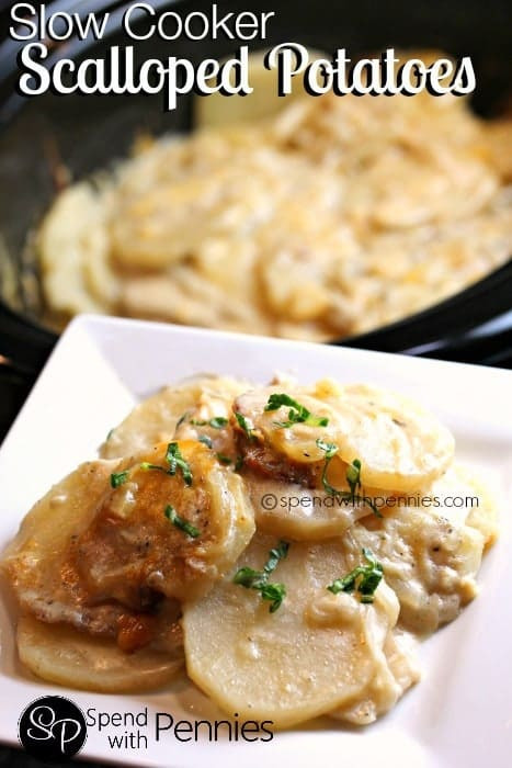 Slow Cooker Scalloped Potatoes
 Slow Cooker Cheesy Scalloped Potatoes Spend With Pennies