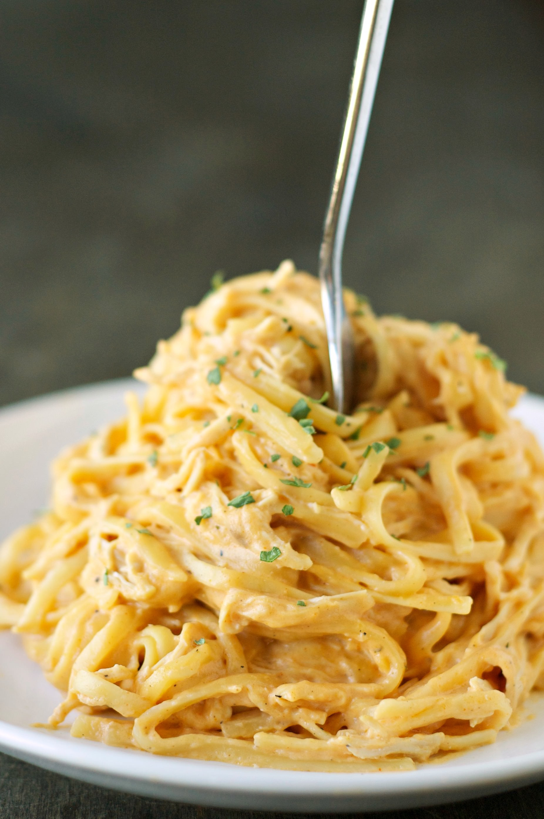 Slow Cooker Spaghetti
 Slow Cooker Cheesy Buffalo Chicken Pasta