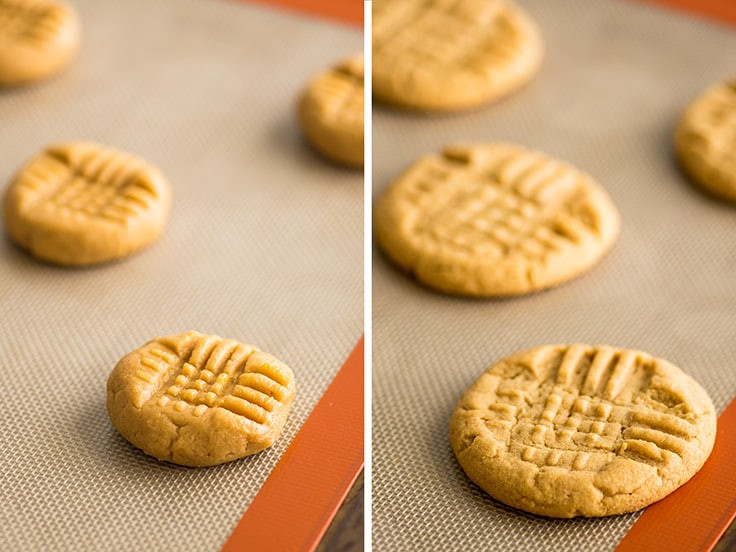 Small Batch Peanut Butter Cookies
 Small batch Peanut Butter Cookies Baking Mischief