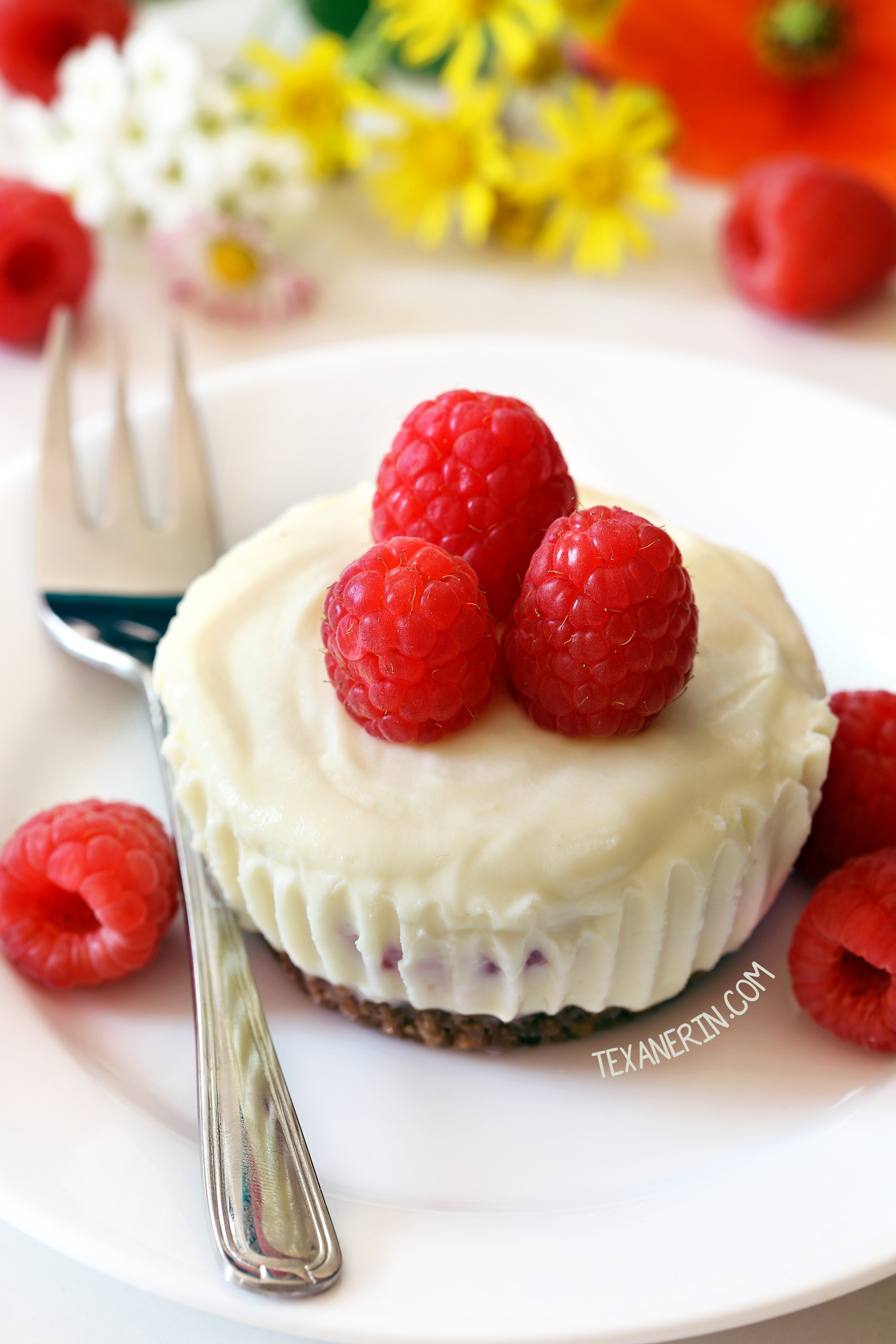 Small Cheesecake Recipe
 mini raspberry cheesecakes no bake