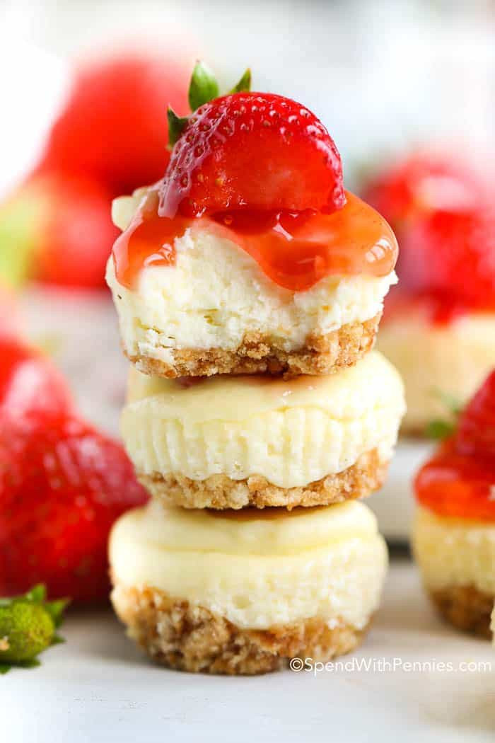 Small Cheesecake Recipe
 Mini Cheesecakes Spend With Pennies