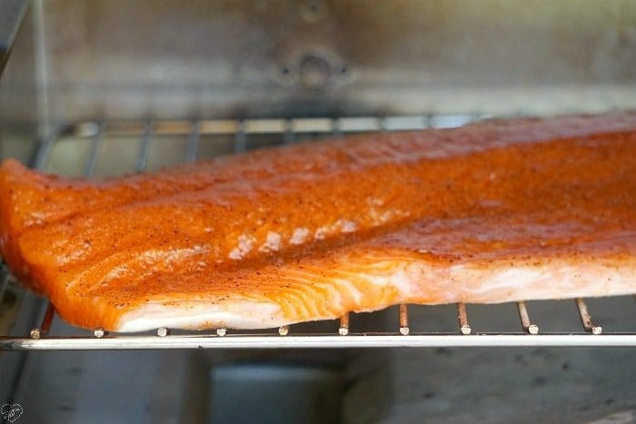 Smoked Salmon Rub
 11 Easy Electric Smoker Recipes for Beginners and Expert