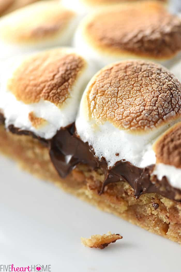 Smores Dessert Recipe
 smores dessert