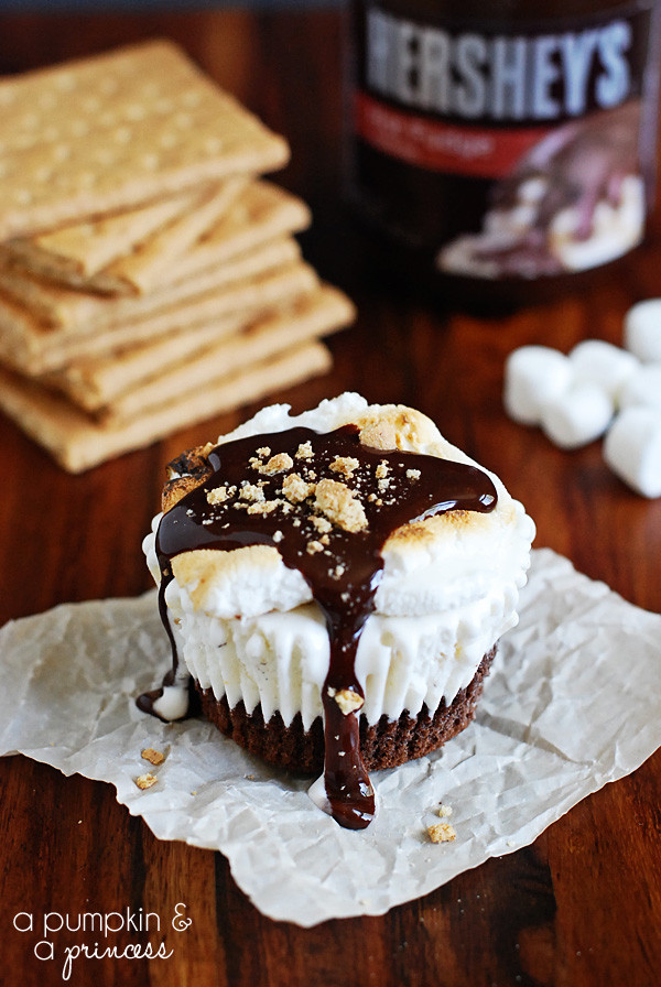 Smores Dessert Recipe
 S Mores Dessert Recipes landeelu