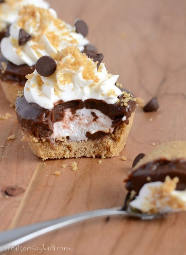 Smores Dessert Recipe
 S Mores Dessert Recipes landeelu