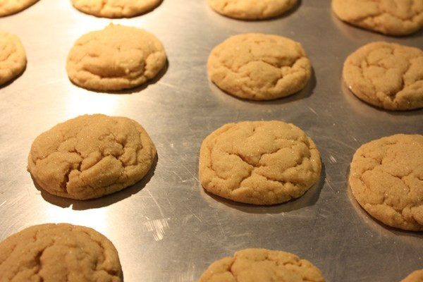 Soft Chewy Peanut Butter Cookies
 Soft & Chewy Peanut Butter Cookies Everyday Home Cook