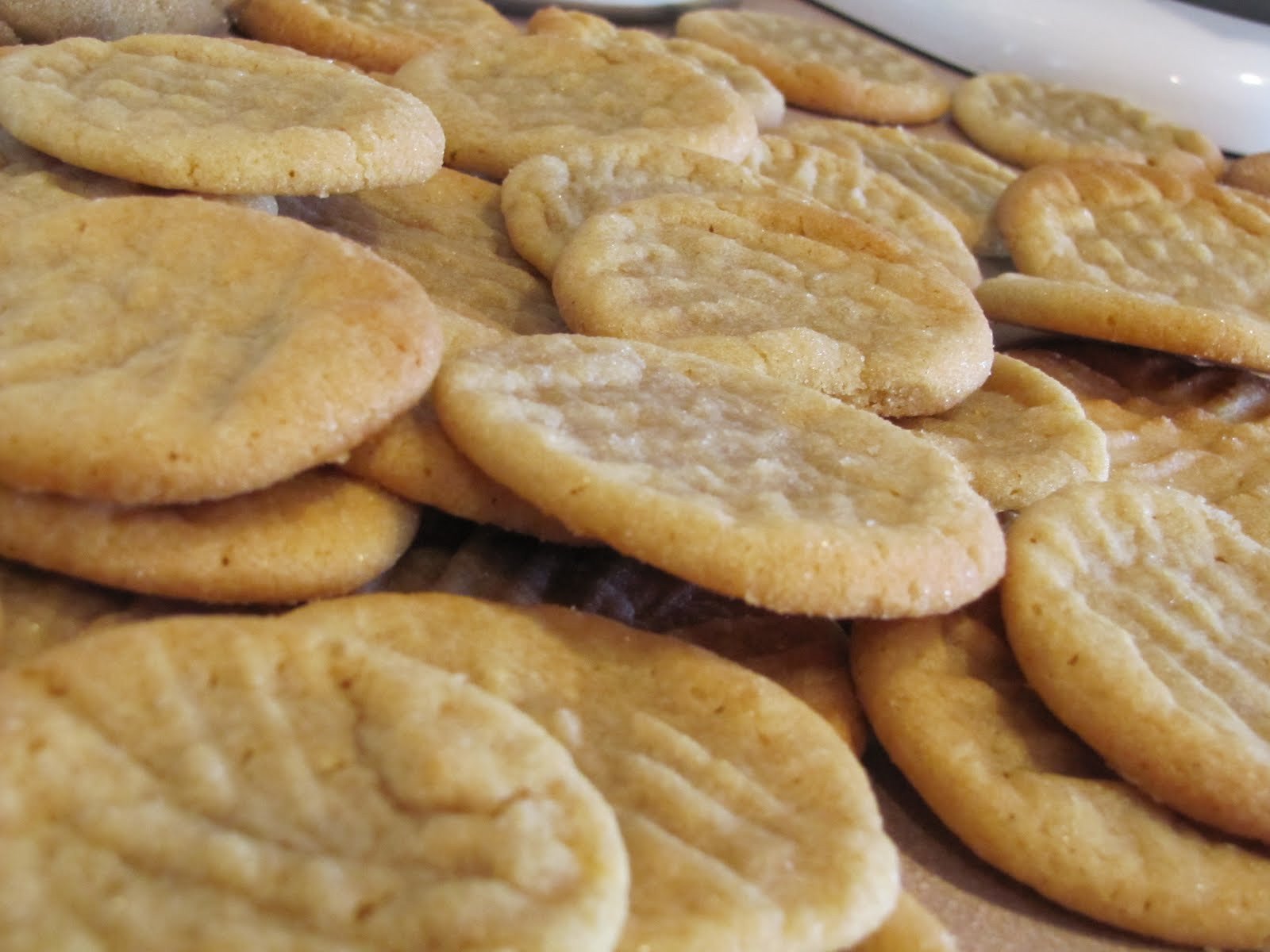 Soft Chewy Peanut Butter Cookies
 Soft and Chewy Peanut Butter Cookies