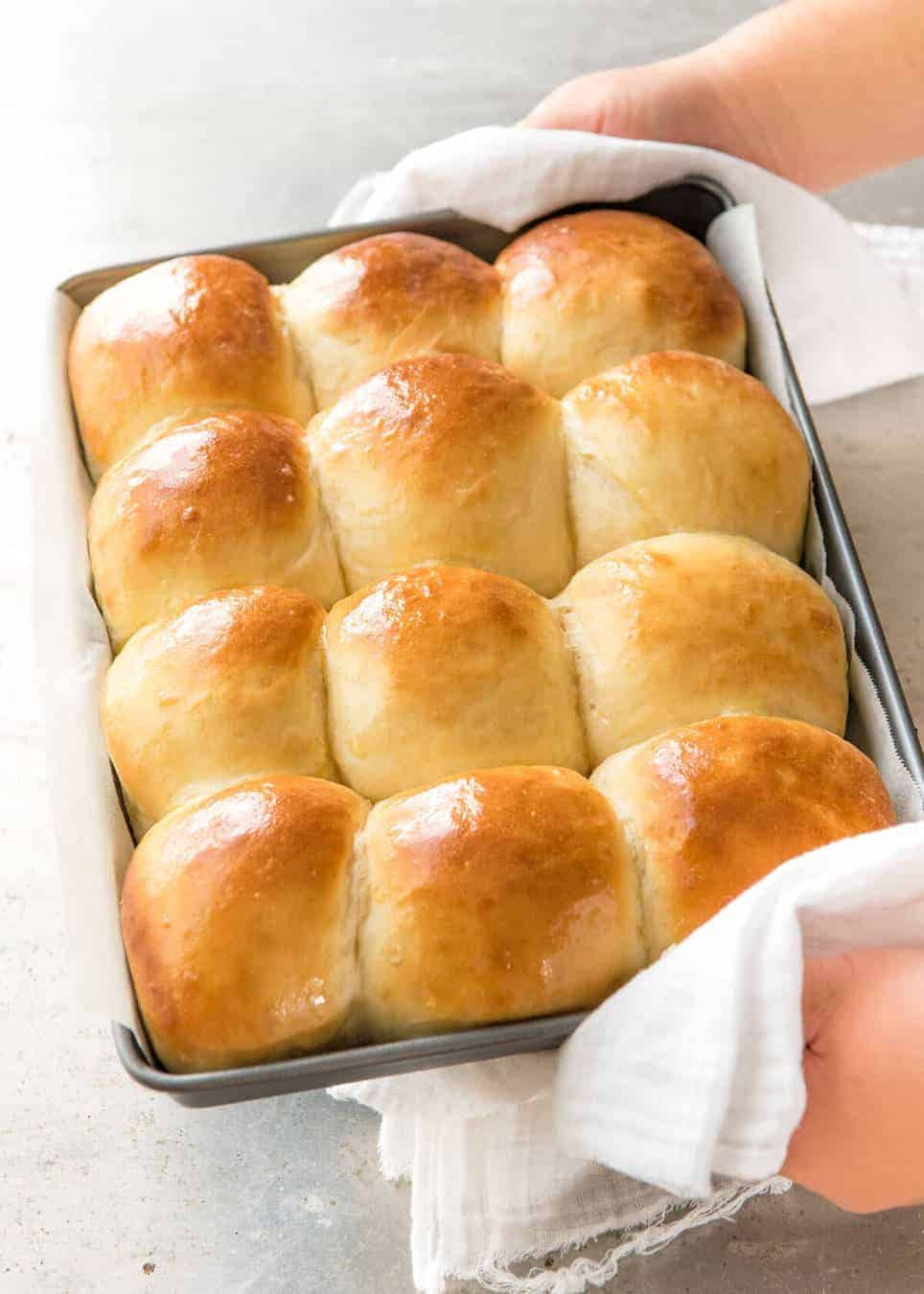 Soft Dinner Rolls
 soft dinner rolls without milk