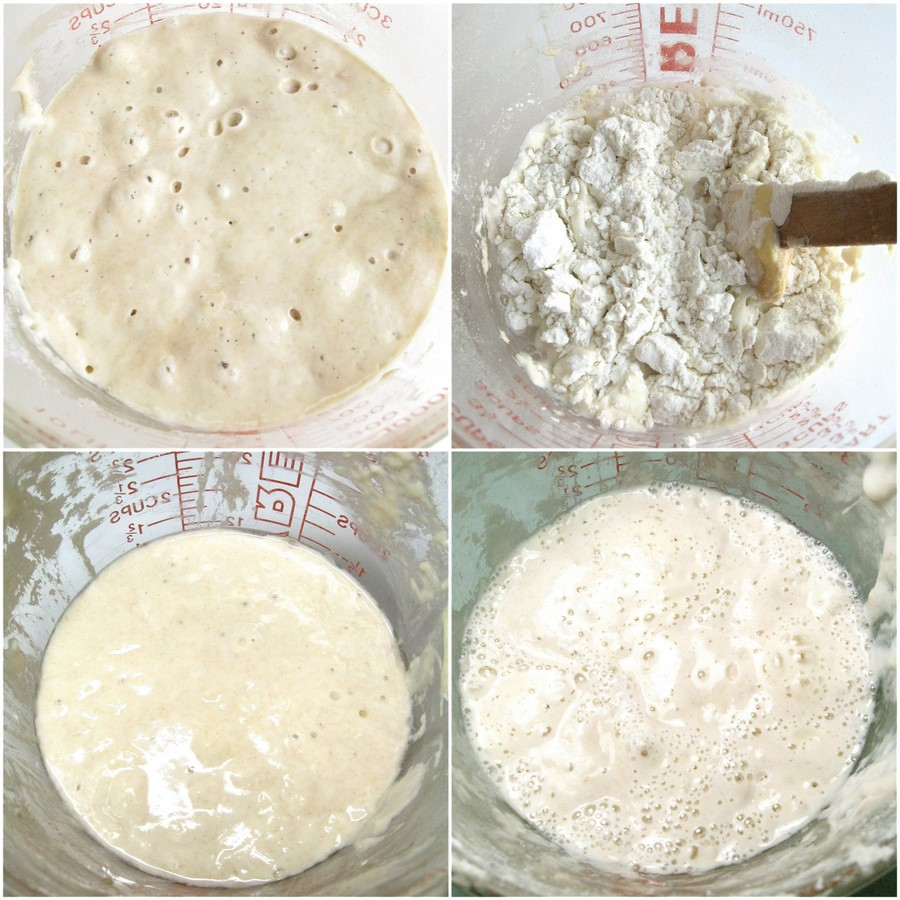 Sourdough Bread Starter
 How to make your own sourdough starter Flourish King