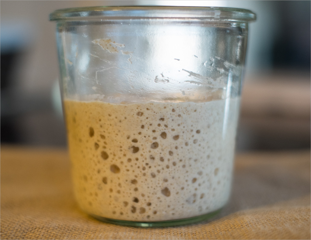 Sourdough Bread Starter
 7 Easy Steps to Making An Incredible Sourdough Starter