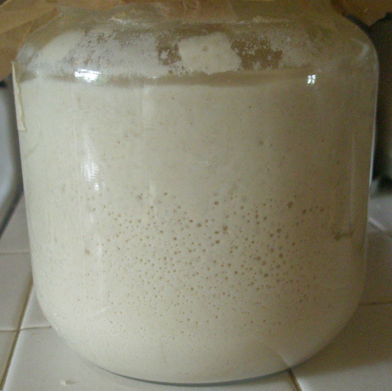 Sourdough Bread Starter
 Sourdough Starter Bread Gluten Free Troubleshooting FAQ