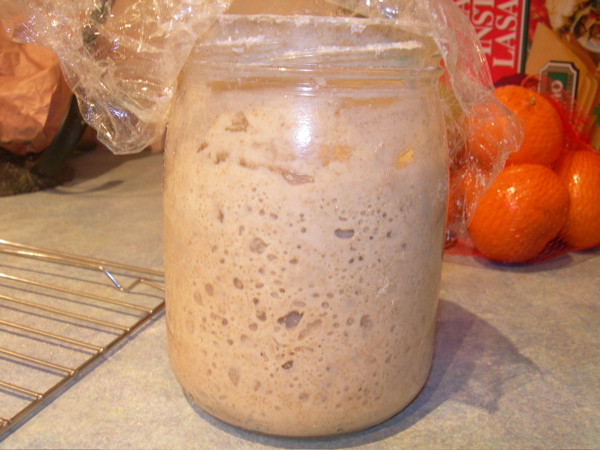 Sourdough Bread Starter
 A starter from scratch Sourdough